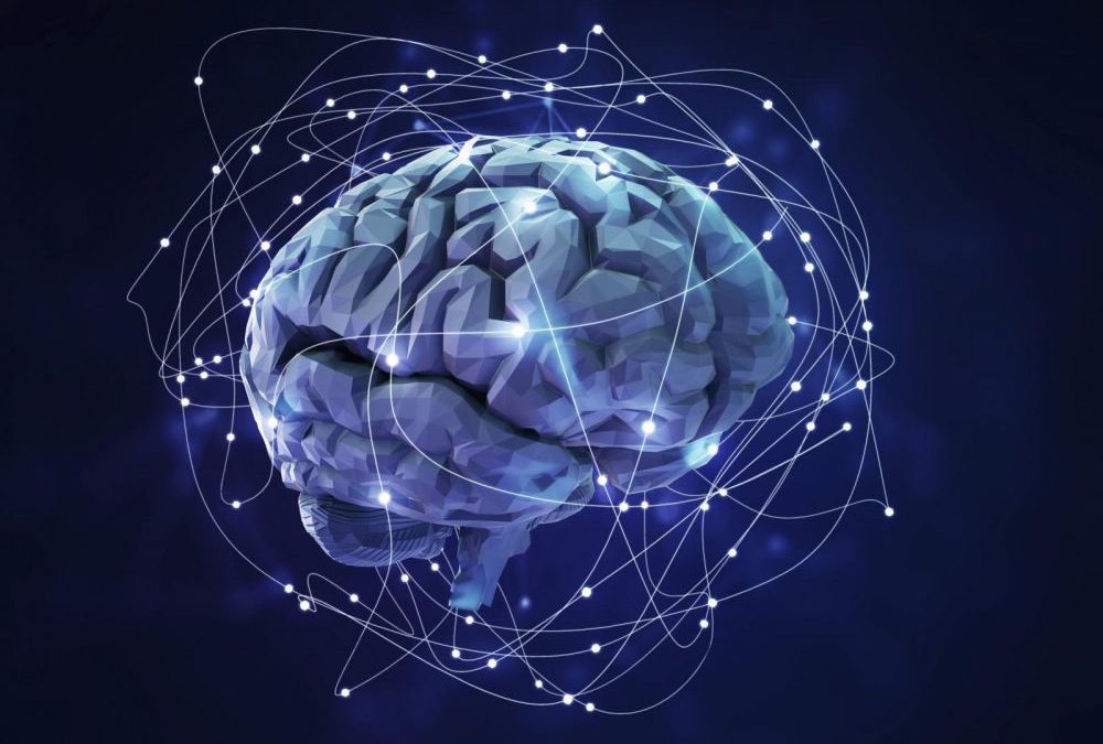 MooveToi - Quand le sport fait pousser les neurones
